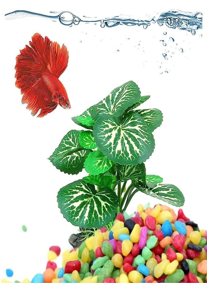 VAYINATO® Decorative Mixed Peables Colour Stone for Aquarium Fish Tank and Indoor Home Decoration and Garden Decor (1 Kg Pack) by Petzlifeworld - Image 2